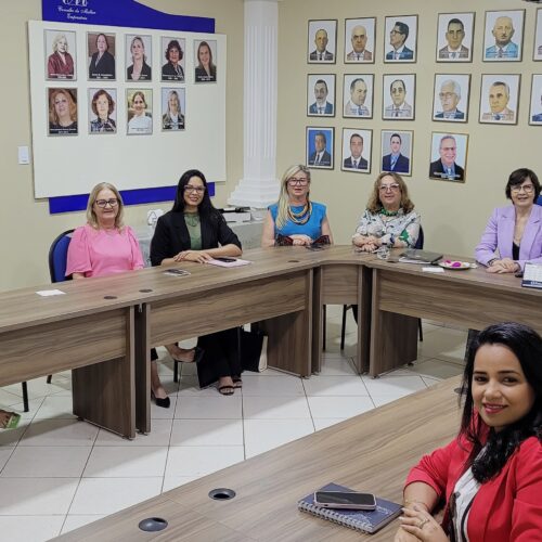Conselho Estadual da Mulher Empresária do Pará realiza encontro estratégico com lideranças femininas do oeste do Pará