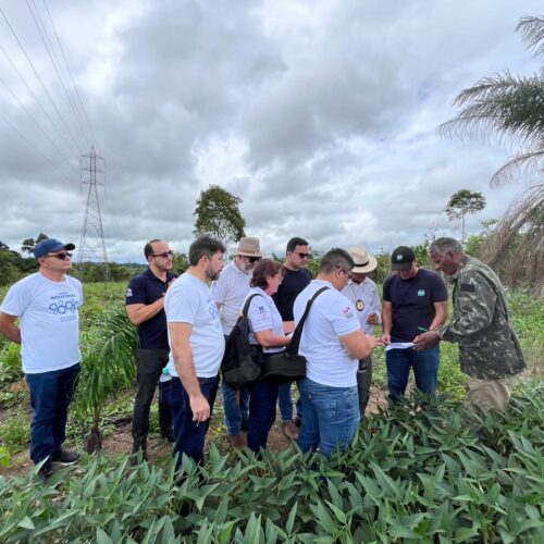 Lote do distrito industrial tem ato de imissão na posse